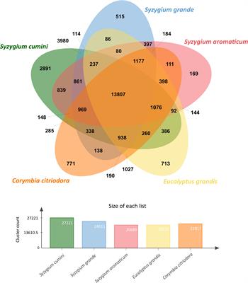 Genome sequencing of Syzygium cumini (jamun) reveals adaptive evolution in secondary metabolism pathways associated with its medicinal properties